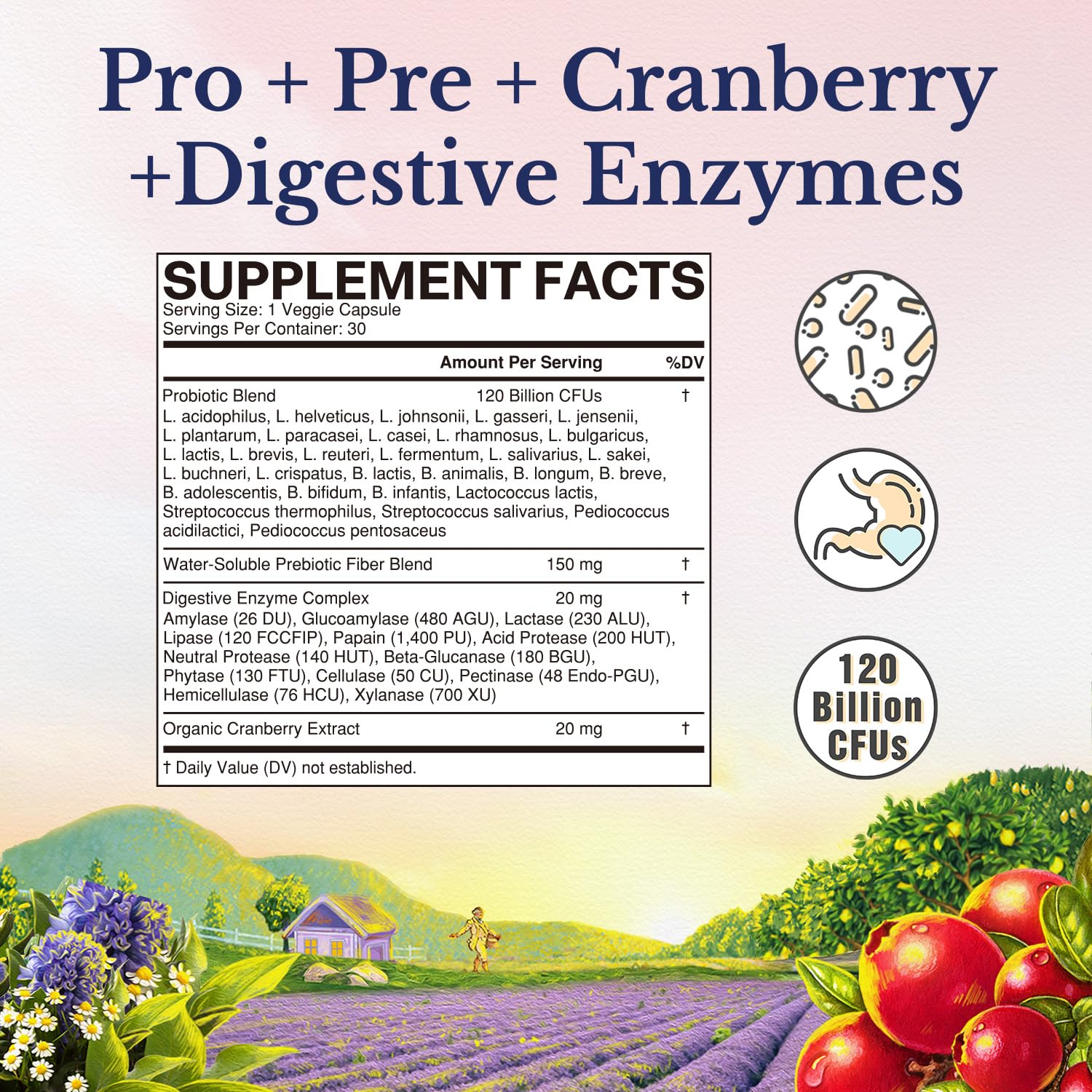 Vitalitown Womens Probiotics capsules close-up highlighting 30 strains for targeted support.