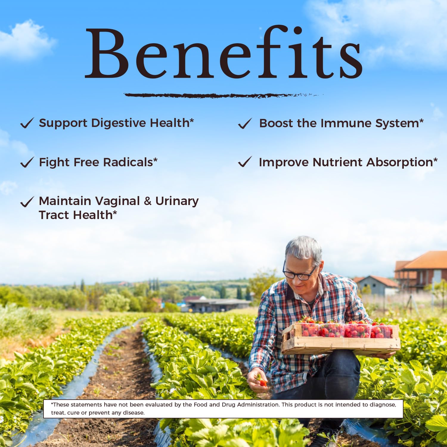 Vitalitown shelf-stable bottle emphasizing delayed-release protection.