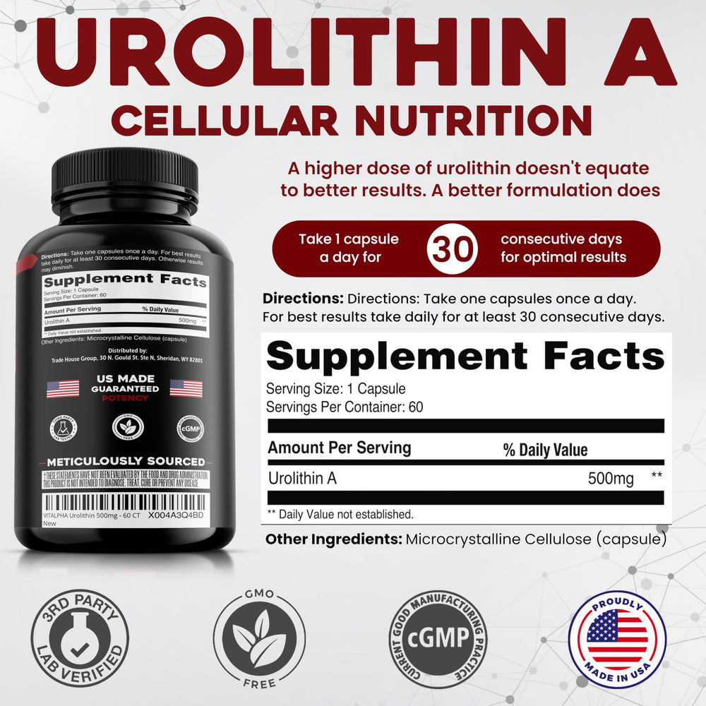 Person holding Urolithin A capsule from VITALPHA for daily energy and mitochondria