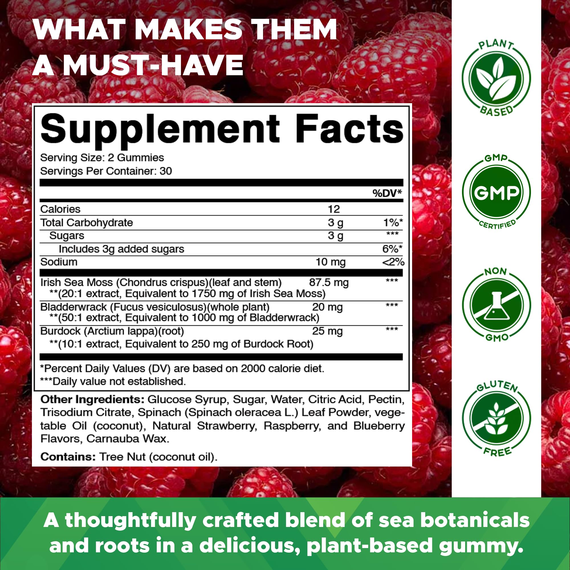 Vitamatic Irish Sea Moss Gummies raspberry close-up highlights tasty flavor