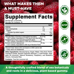 Vitamatic Irish Sea Moss Gummies raspberry close-up highlights tasty flavor
