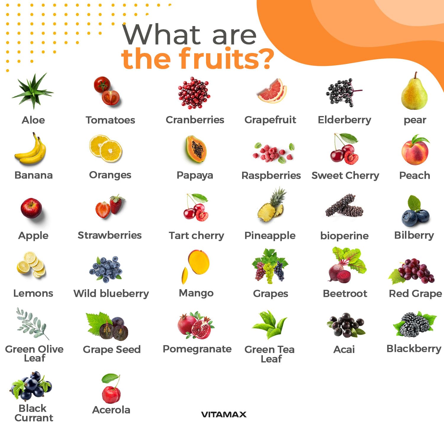 Vitamax fruits and vegetables blend highlighting natural nutrients