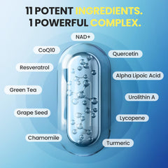 Vitamax Liposomal NAD+ supplement ingredients chart featuring CoQ10 and Green Tea components.