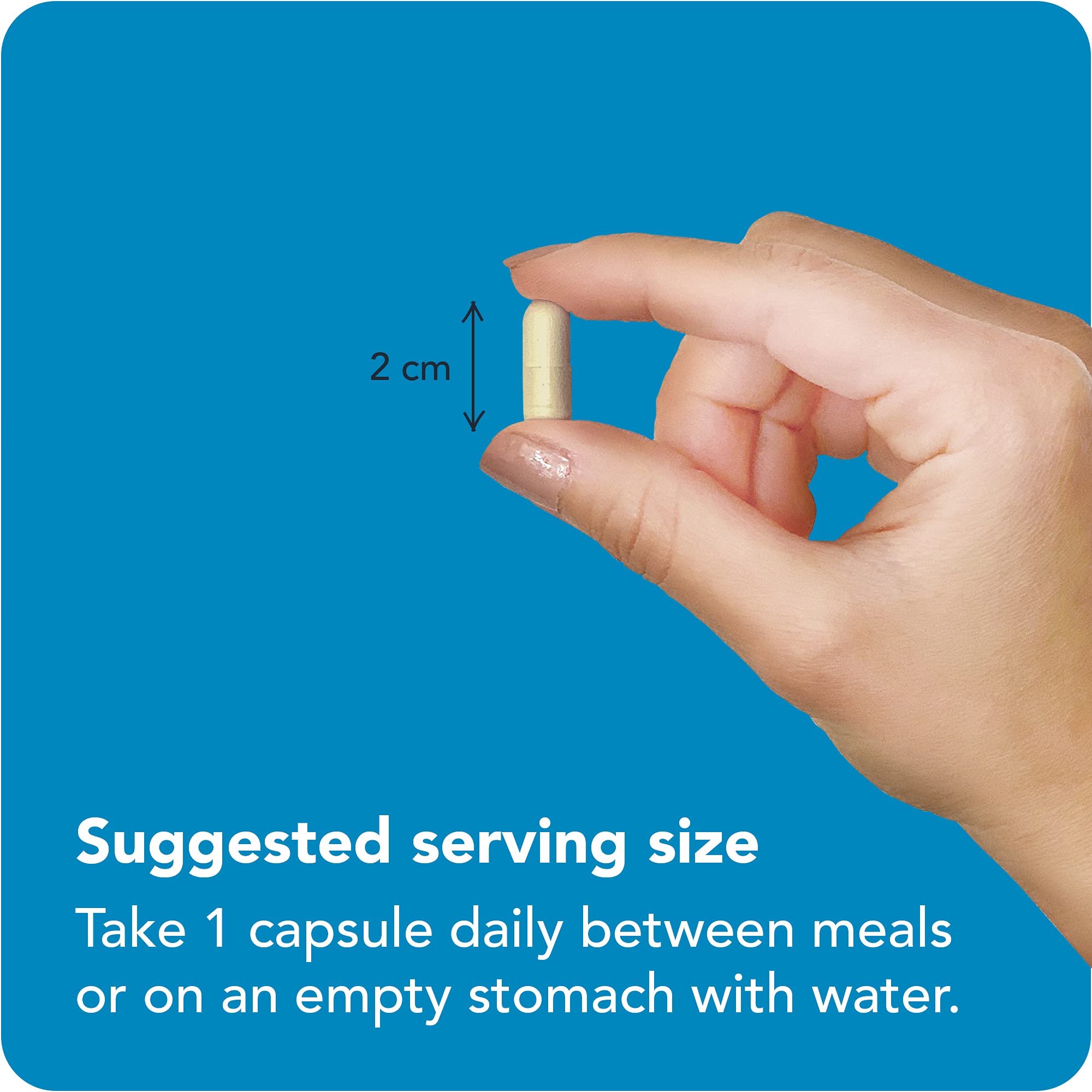 Vitamin Bounty Pro-Daily gut-health icon illustrating balance