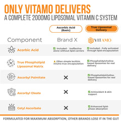 Vitamo Liposomal Vitamin C 2000mg capsules close-up detail