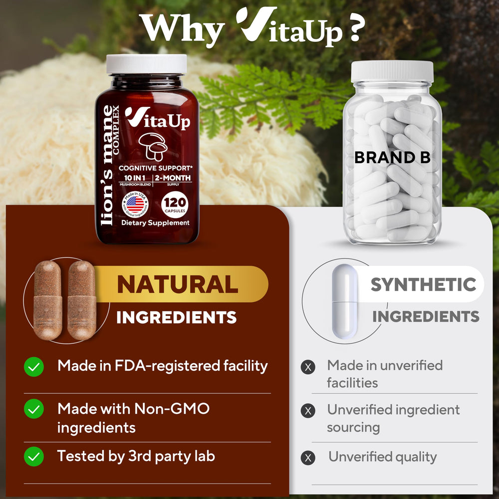 VitaUp brain-focused daily routine with a mushroom complex.