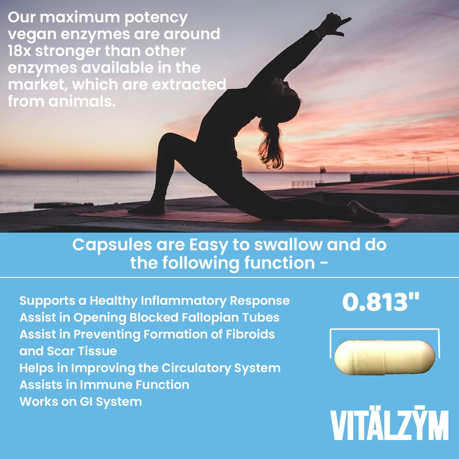 VITÄLZYM vegan, gluten-free, non-GMO capsules support daily wellness