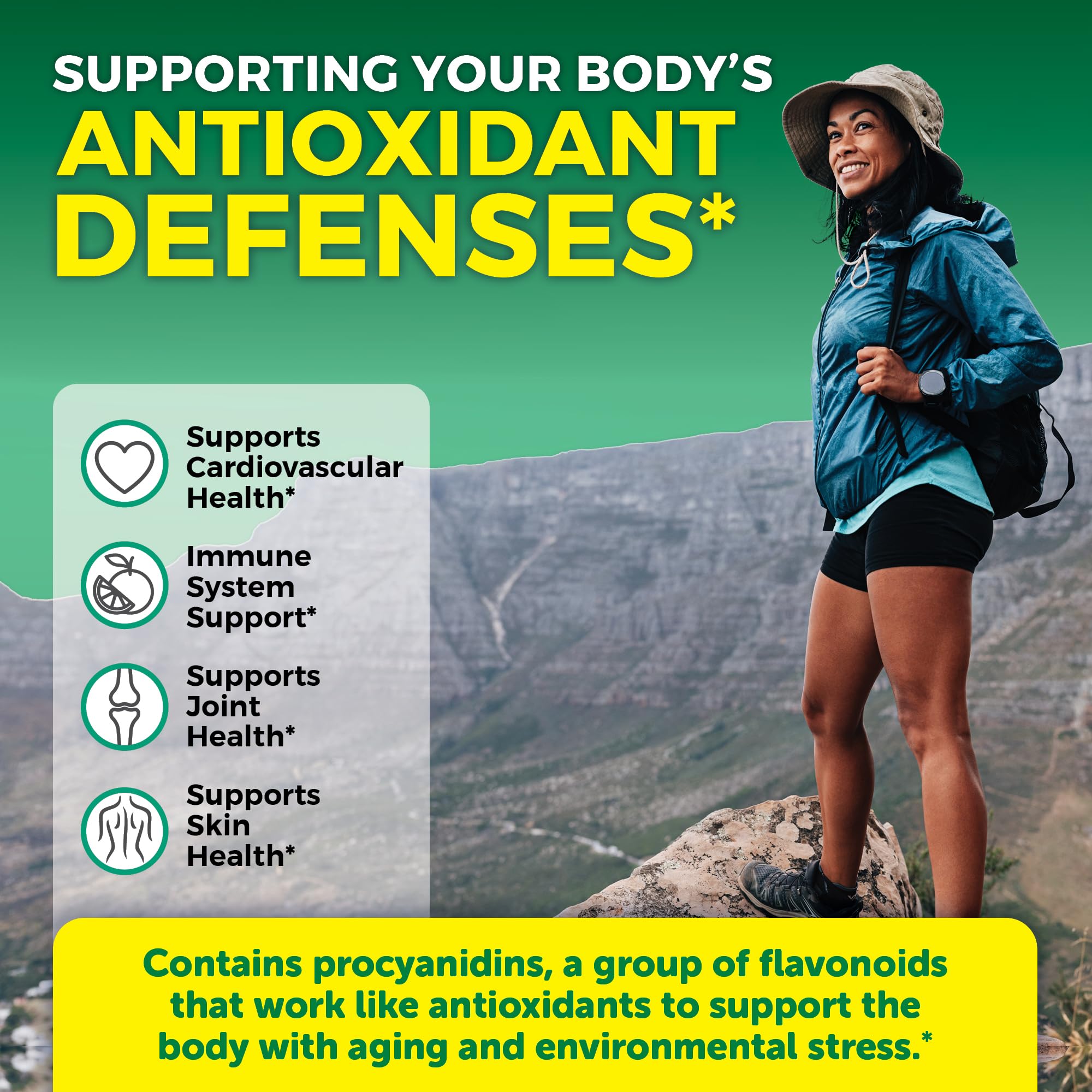 Vegetarian-friendly Pycnogenol product from Viva Naturals with immune health aspects.