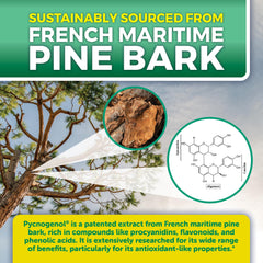 One-a-day Viva Naturals Pycnogenol capsule for convenient plant-based support.