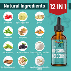 Vivaravida Berberine HCl Drops pipette dispensing droplets for easy daily dosing.