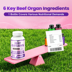VPKIN beef organ capsules close-up highlighting organ blend for energy and vitality