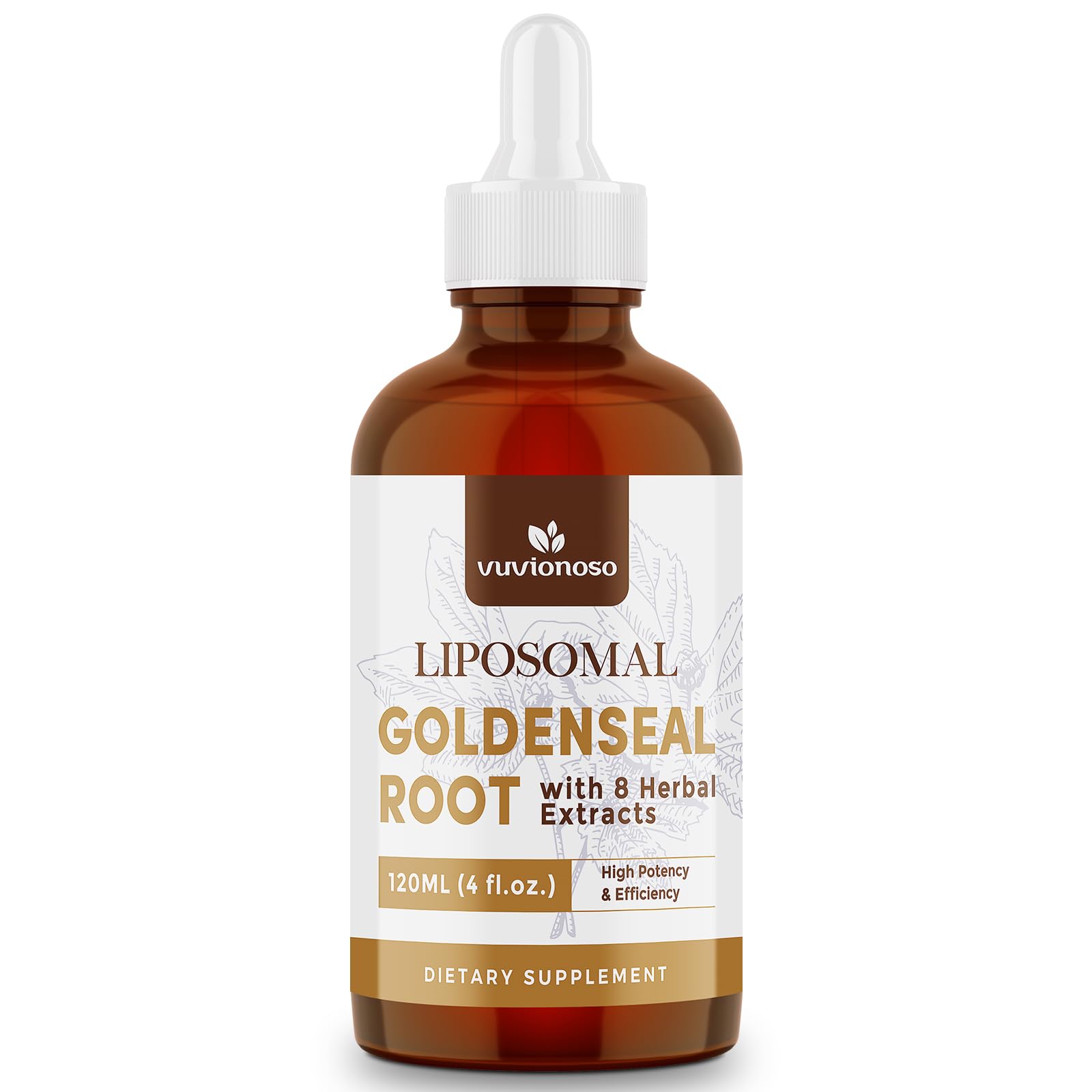 Goldenseal root illustration highlighting natural herbal source