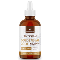 Goldenseal root illustration highlighting natural herbal source