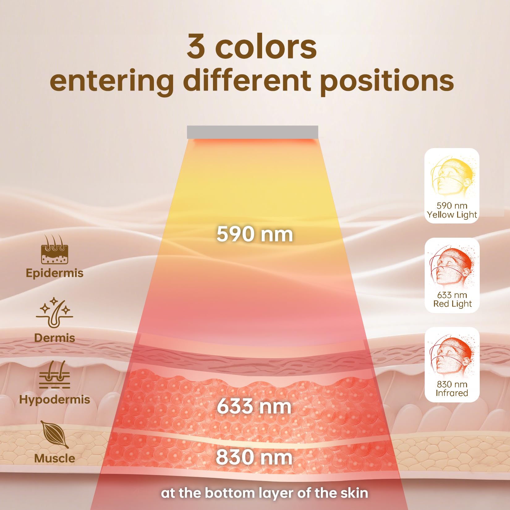 Infrared and red light wavelengths (830nm/633nm) in VYM for skincare activation.