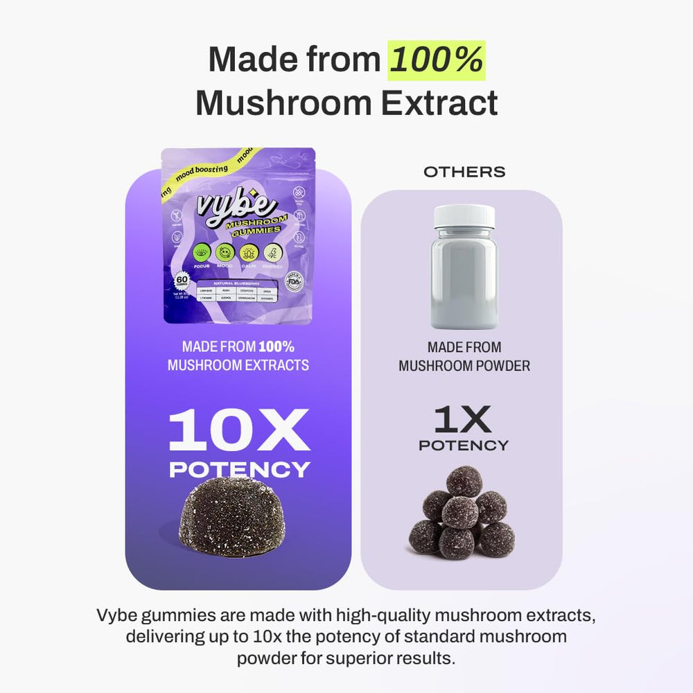 Blueberry gummies on a plate hint at clean, plant-based focus support.