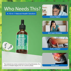 Vyxion Moringa leaf closeup showcases nutrient-rich herbal blend