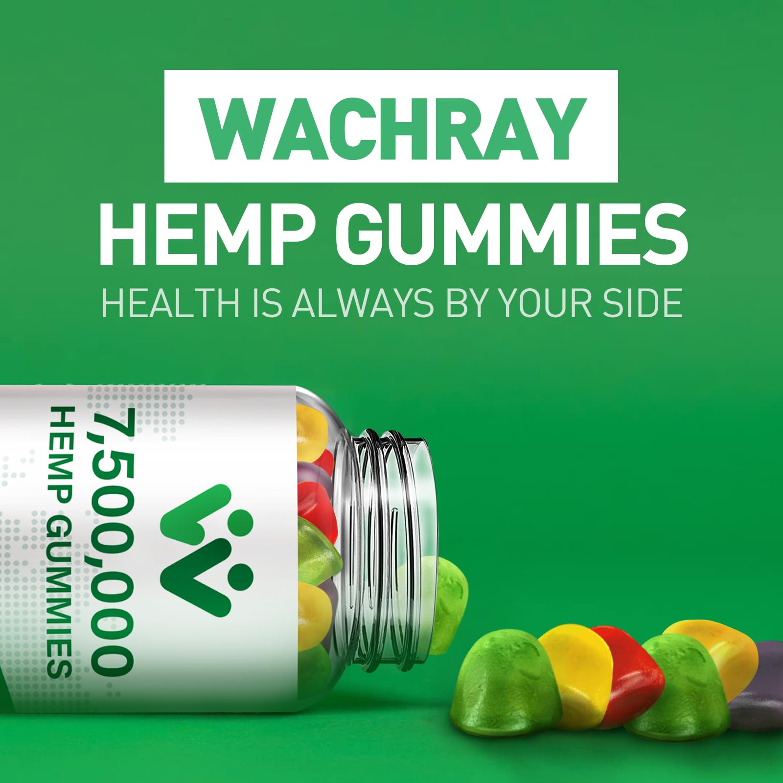WACHRAY Nutrition Colorado hemp plants in natural setting.