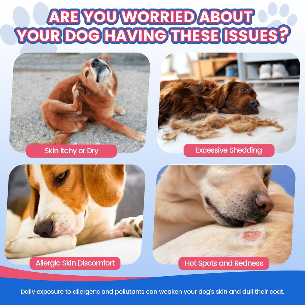 Wagmee Omega 3 chews in a bowl highlighting tasty daily treat for coat care
