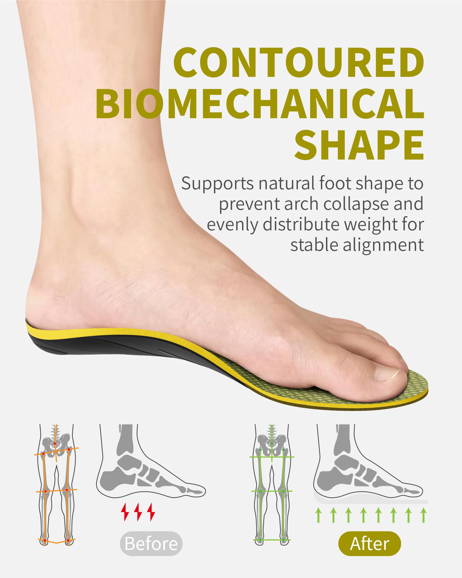 WalkHero sistema de arco rígido ofrece soporte estable durante el día.