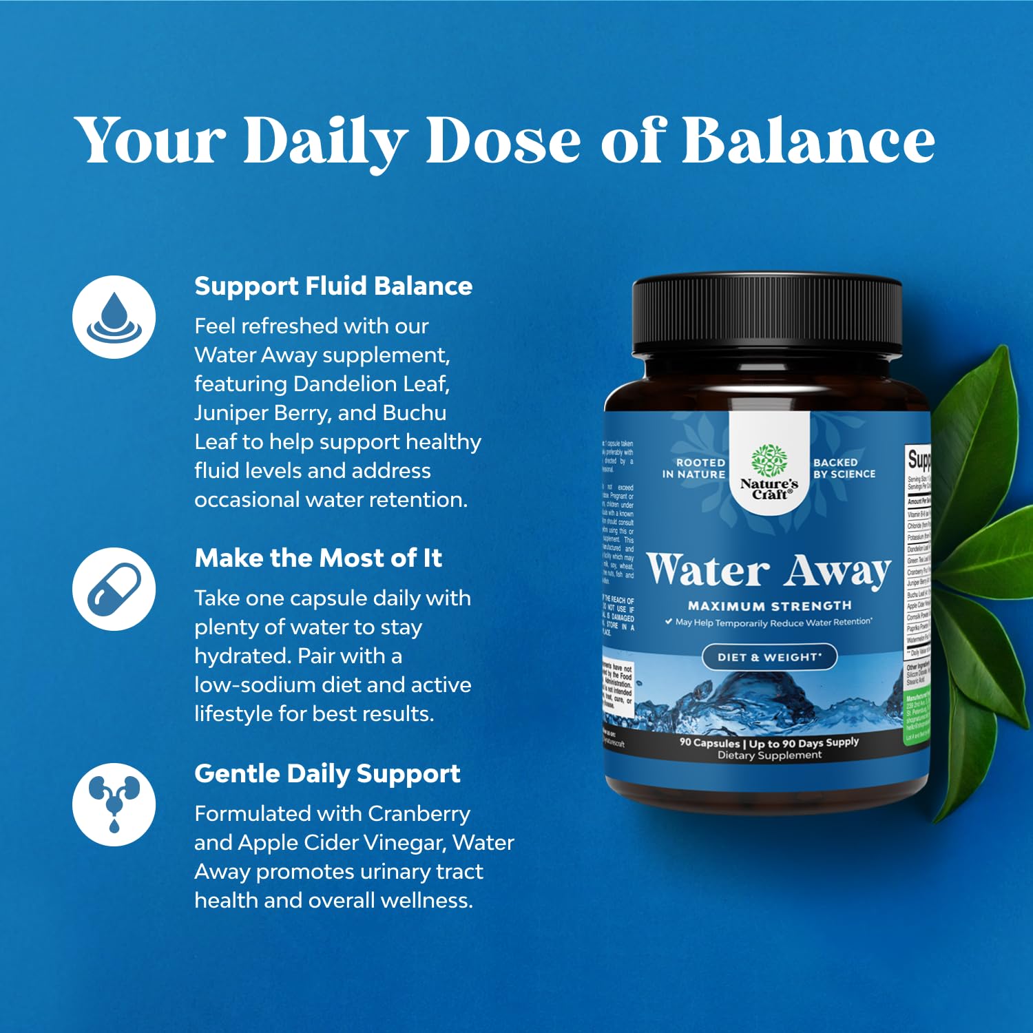 Water Away dandelion leaf extract label signaling botanical support