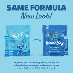 Ginger and L-Theanine components shown in Waterboy Weekend Recovery