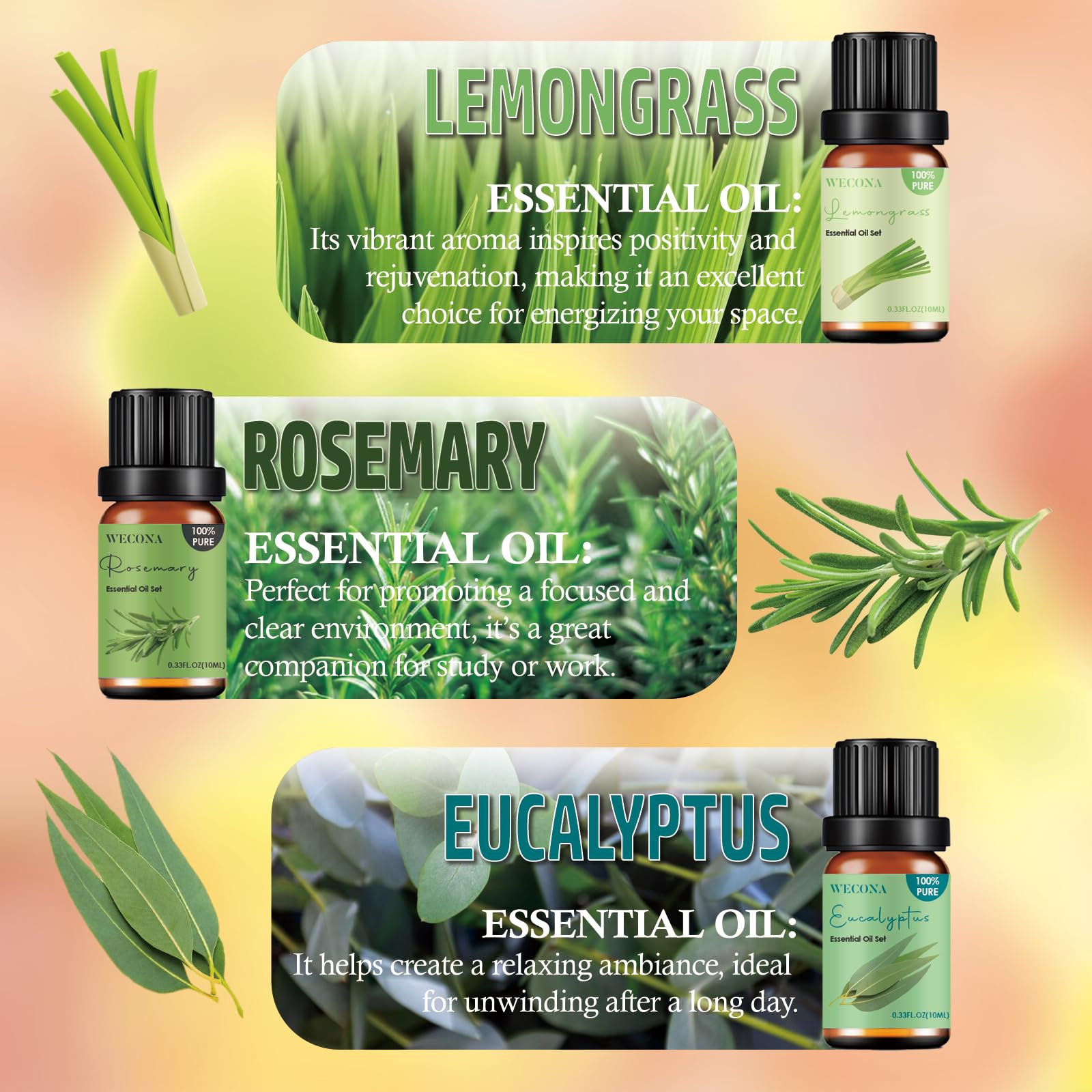 Wecona eucalyptus essential oil bottle for clear airways.