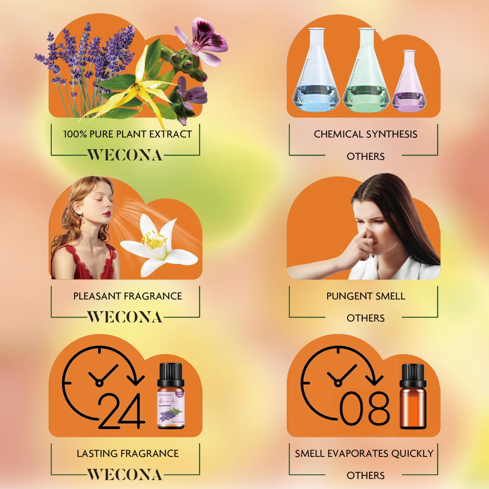 Wecona gift box image showing six bottles, perfect for gifting.