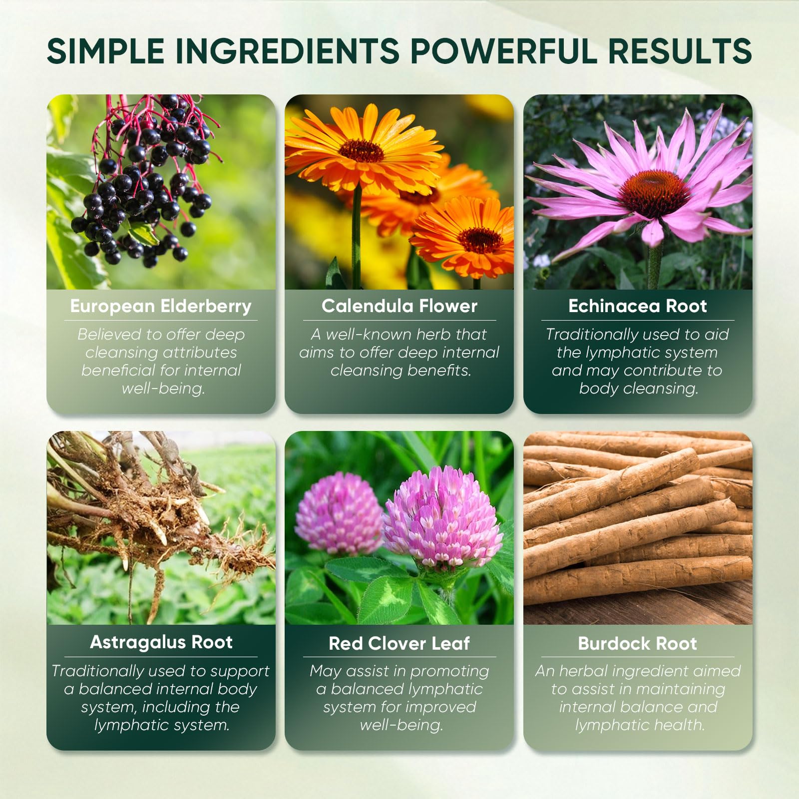WEERSHUN Nuflos burdock root ingredient close-up highlights natural plant-based sourcing.