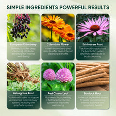 WEERSHUN Nuflos burdock root ingredient close-up highlights natural plant-based sourcing.