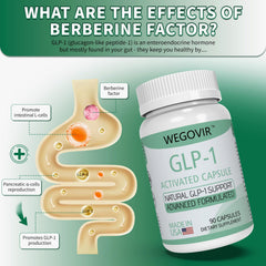 Wegovir GLP-1 capsules on a tray illustrate rapid absorption formula.