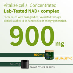 Welitalisync NAD+ liposome encapsulation visualizing high bioavailability