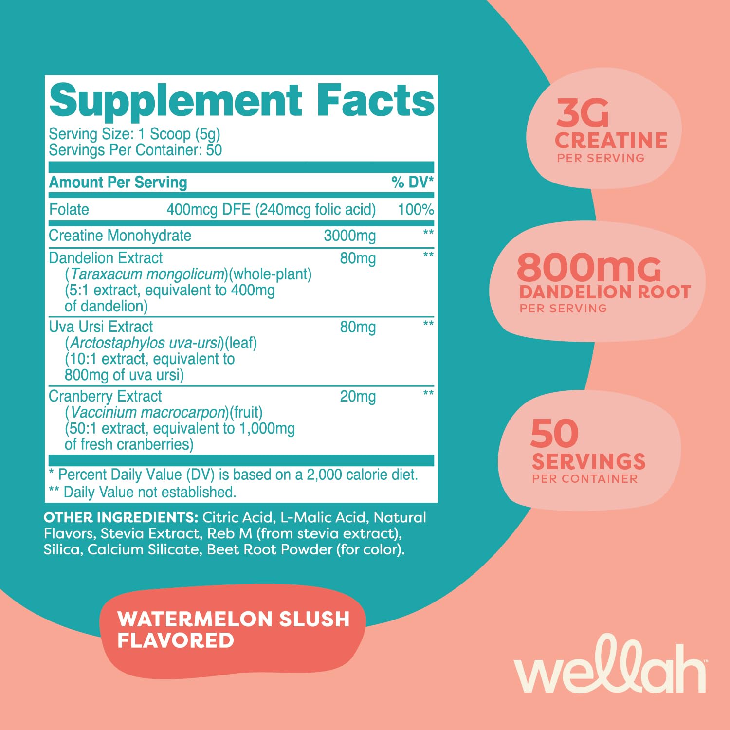Wellah Creatine 50-serving scoop showing long-lasting supply