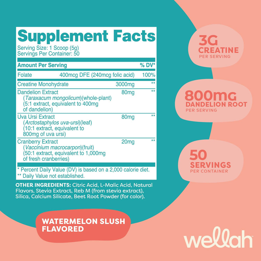 Wellah Creatine 50-serving scoop showing long-lasting supply