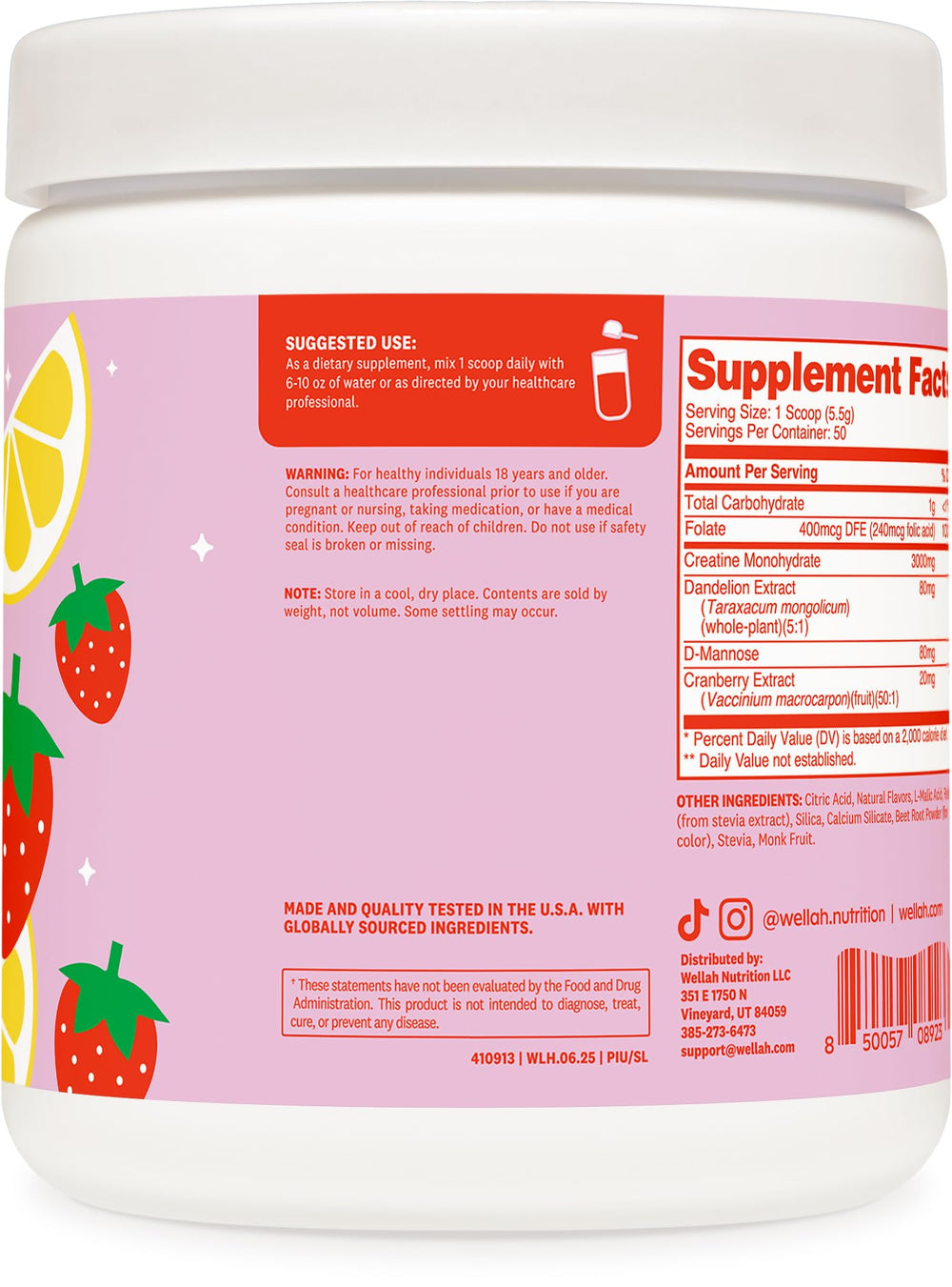 Wellah Creatine Monohydrate label closeup shows key ingredients and quality focus.