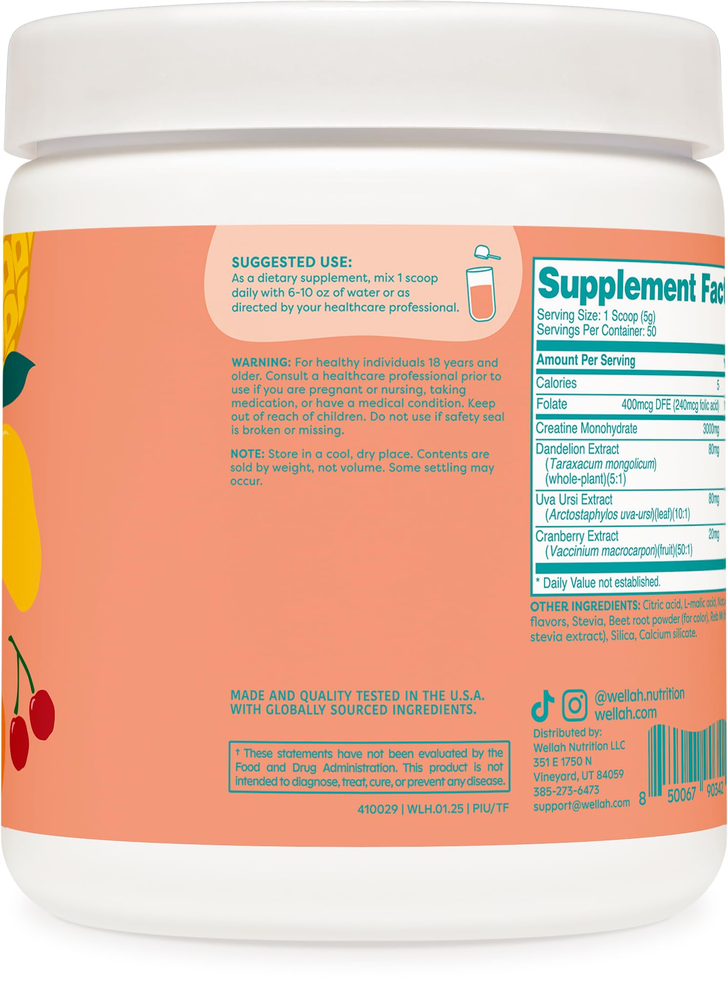 Wellah Creatine with cranberry extract and uva-ursi components for daily support