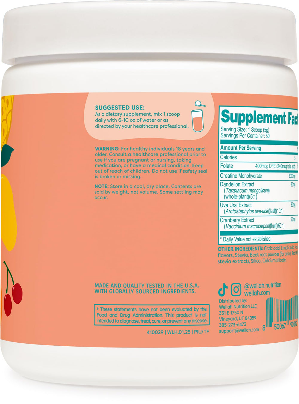 Wellah Creatine with cranberry extract and uva-ursi components for daily support
