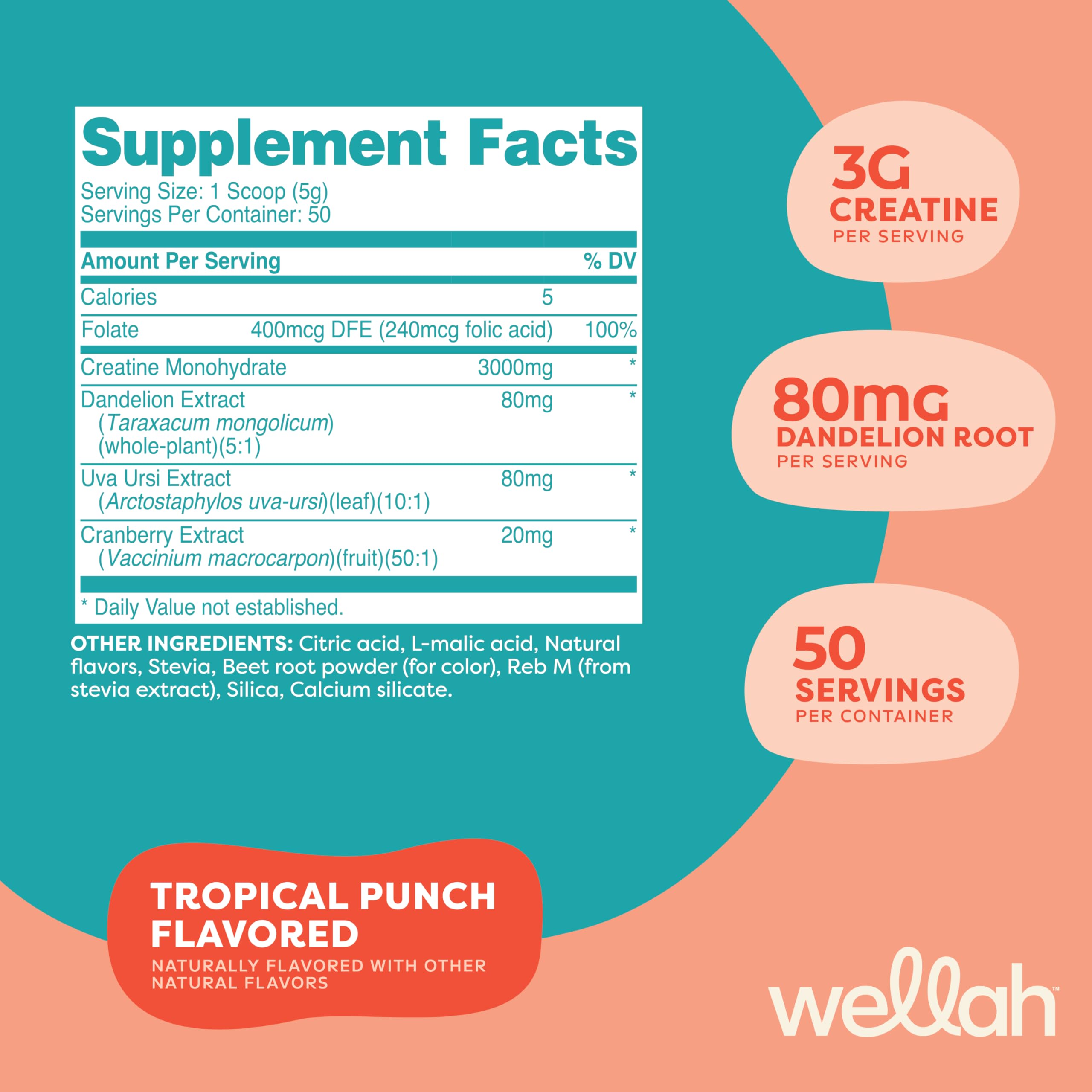 Wellah Creatine powder with dandelion and cranberry blend in scoop