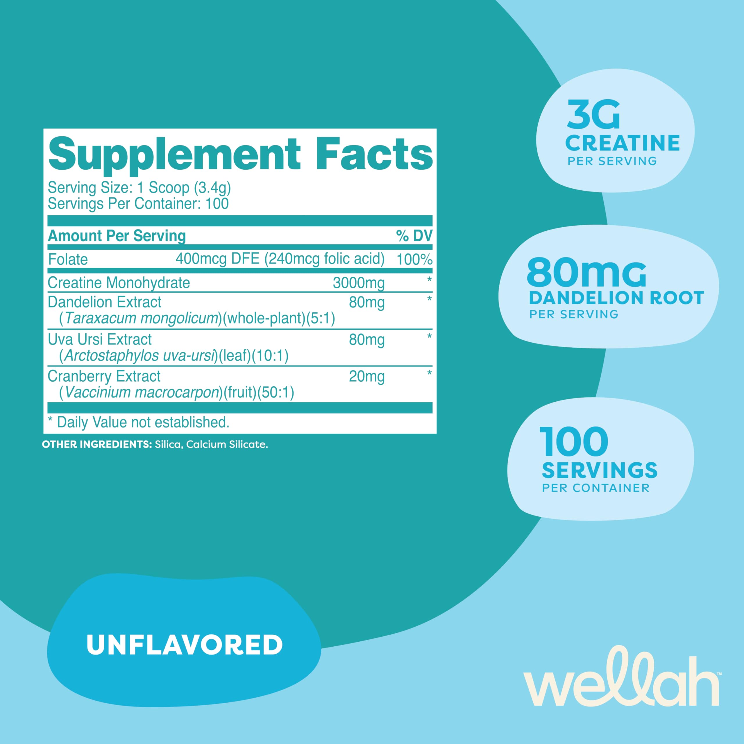 Wellah Creatine with dandelion extract close-up for a natural blend in daily routines.