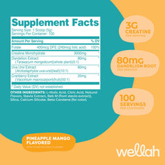 Wellah Creatine for Women scoop in shaker showing convenient daily use.