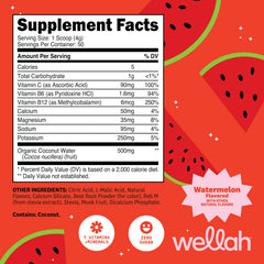 Wellah Electrolytes Watermelon glass with ice ready for quick refreshment