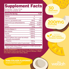 Wellah Get-Going Pina Colada powder close-up shows flavor and mixability.