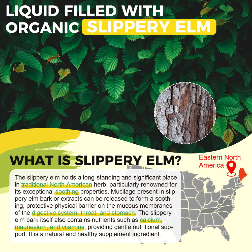Well&Whole DGL Licorice Extract Drops highlight natural digestive support.