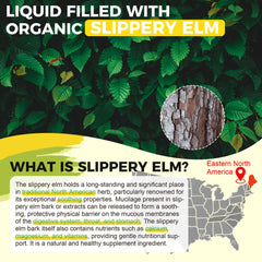 Well&Whole DGL Licorice Extract Drops highlight natural digestive support.
