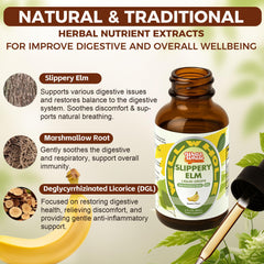 Well&Whole Slippery Elm Drops dropper close-up, easy daily use for throat comfort.