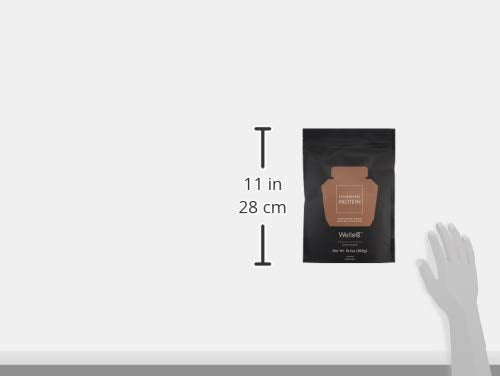 WelleCo chocolate protein powder offers energy-forward daily use.