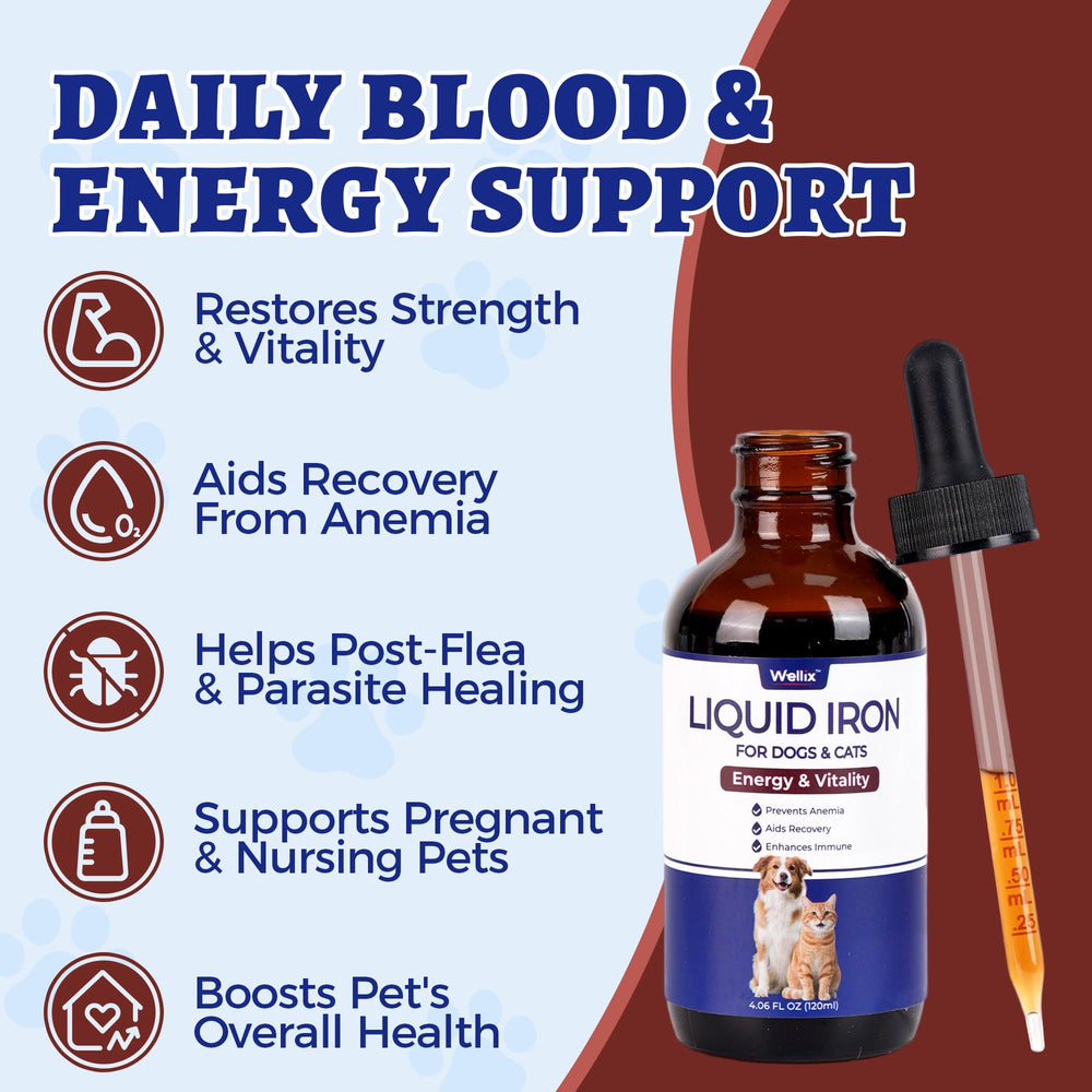 Wellix Liquid Iron bottle label showing B12 and vitamin C benefits