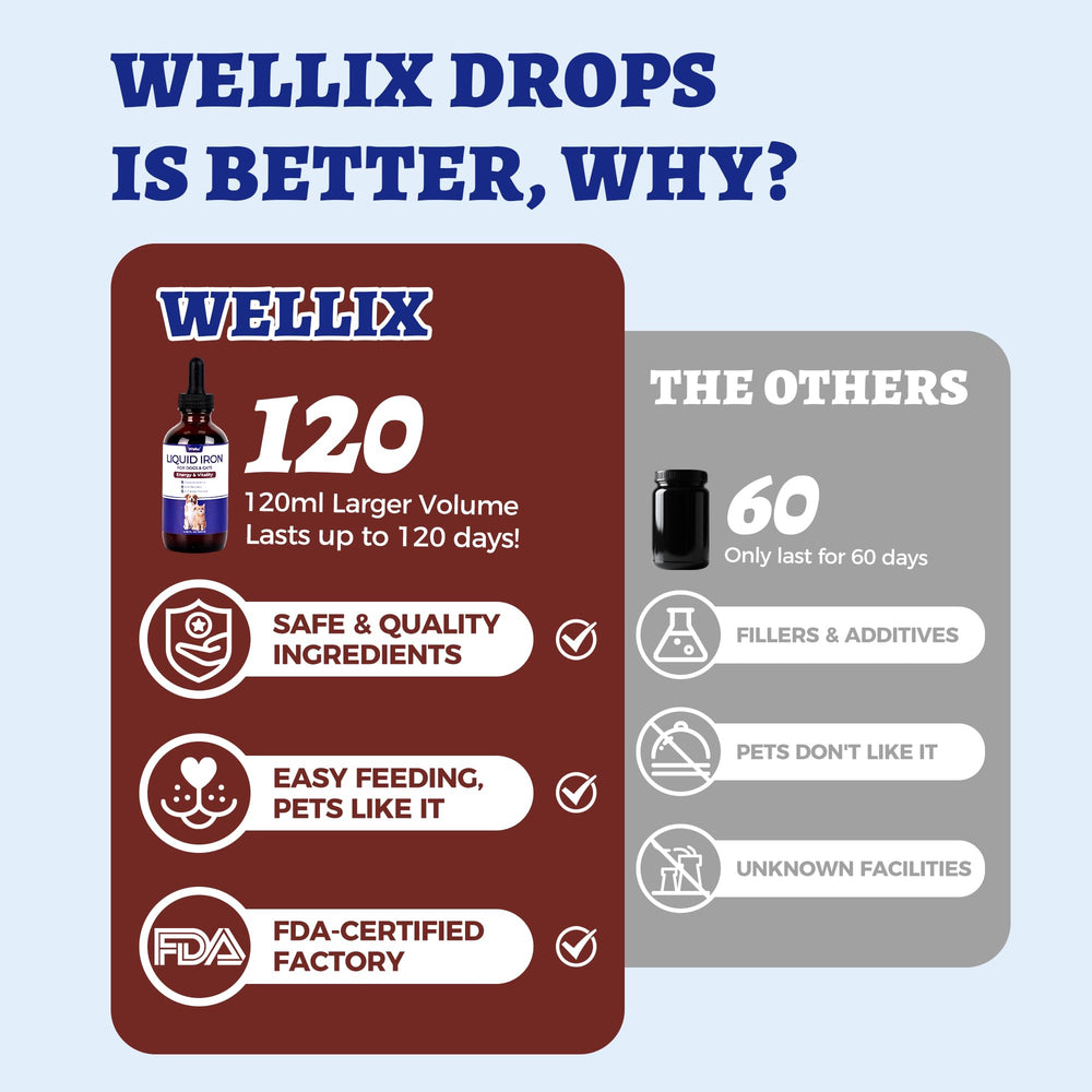 Wellix Liquid Iron dosing syringe close-up for easy administration and accuracy