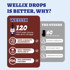 Wellix Liquid Iron dosing syringe close-up for easy administration and accuracy