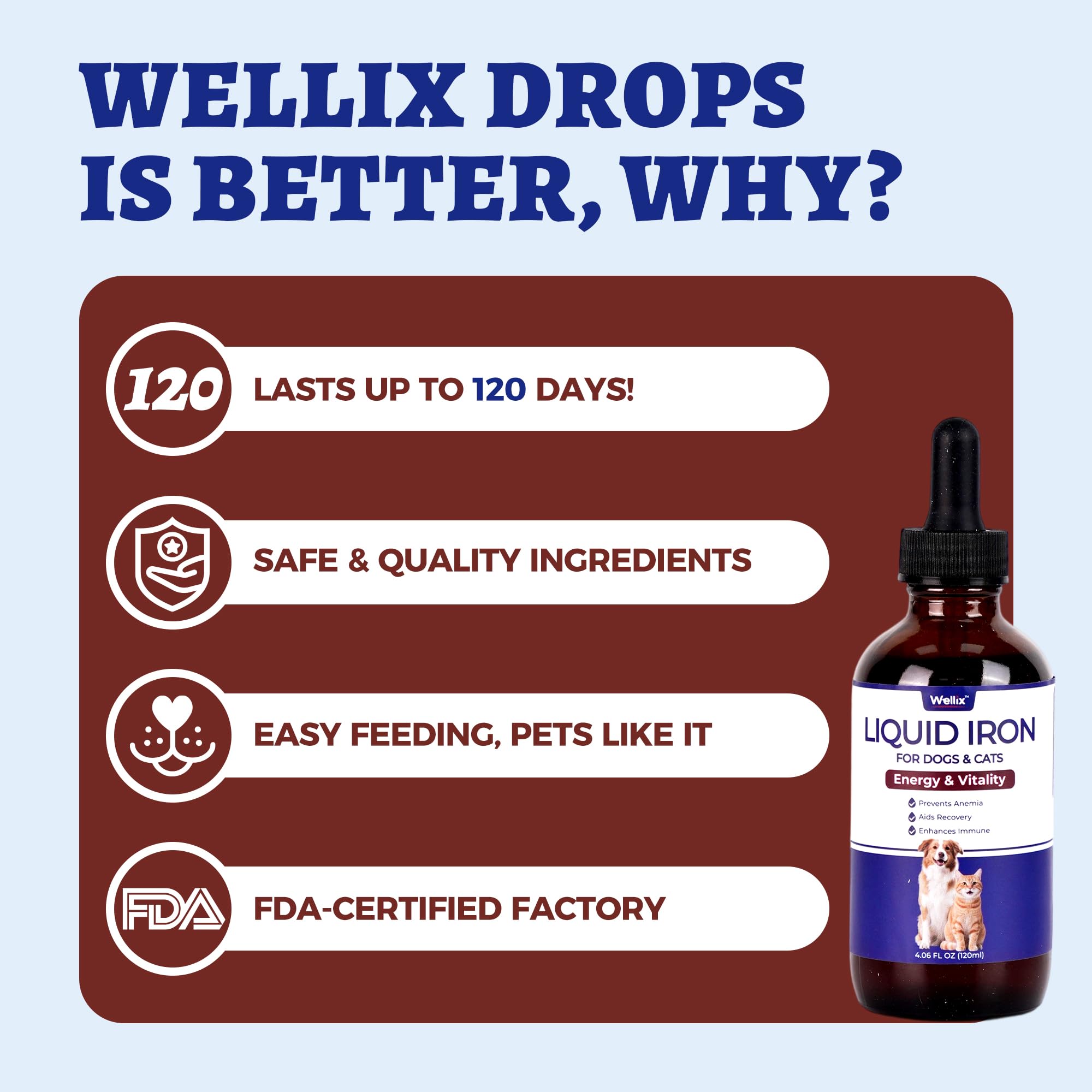 Wellix Liquid Iron immune support concept for overall wellness