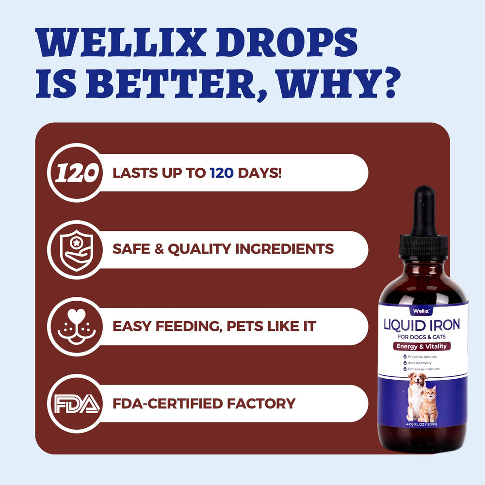 Wellix Liquid Iron immune support concept for overall wellness